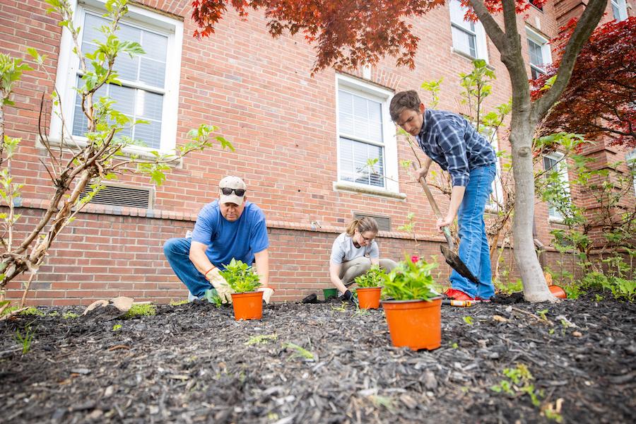 Austin Peay’s 23rd annual Plant the Campus Red brightened up the University on Thursday, April 21, with about 10 teams of faculty, staff, students and community members volunteering to plant flowers, trees and shrubs across campus.