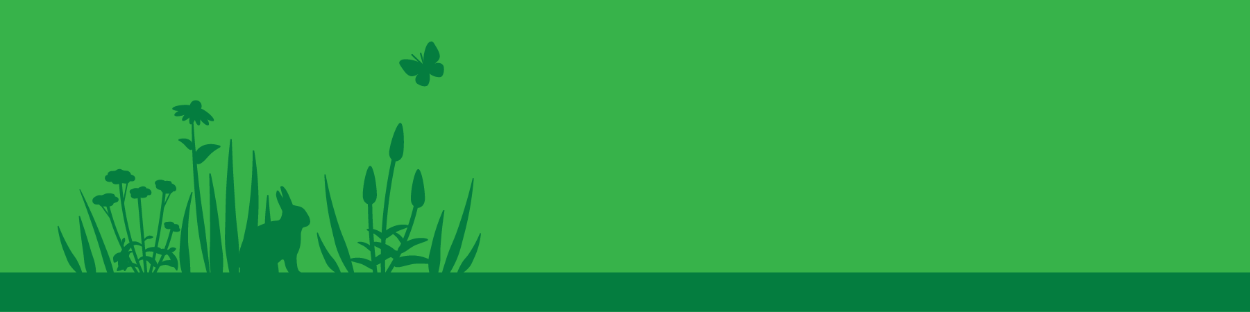 Native Meadow Banner